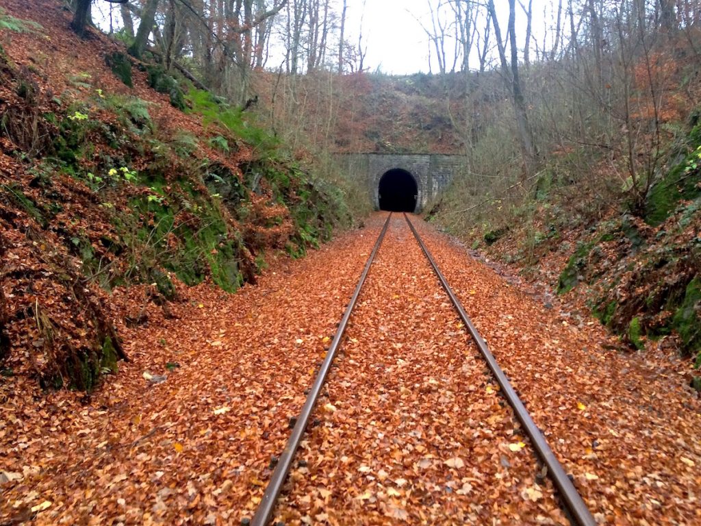 Die schönsten Herbstreisen mit der Bahn können im Sauerland gleich mit einer Draisinenfahrt kombiniert werden.