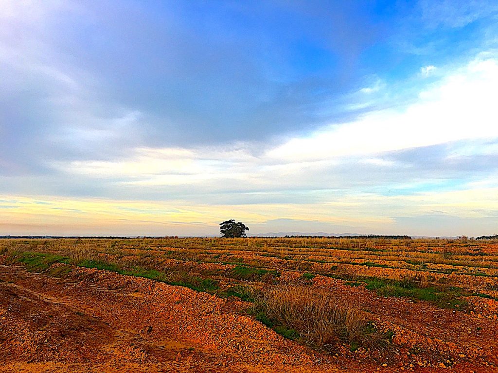 Wie ein Gemälde - der Roadtrip durch den Alentejo