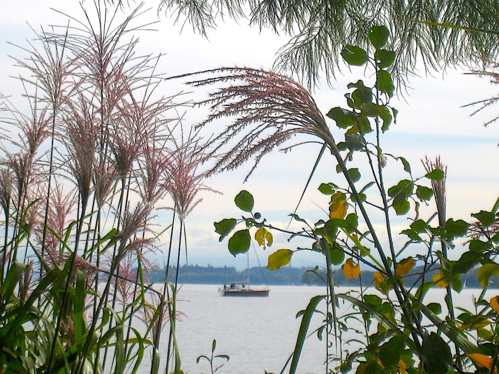 Der Bodensee im Winter bietet mystische Momente.