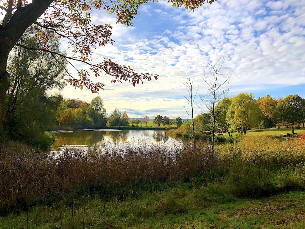 Eifel Geheimtipps – das Bolsdorfer Tälchen