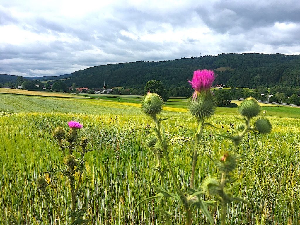 Sauerland Sehenswürdigkeiten erleben.