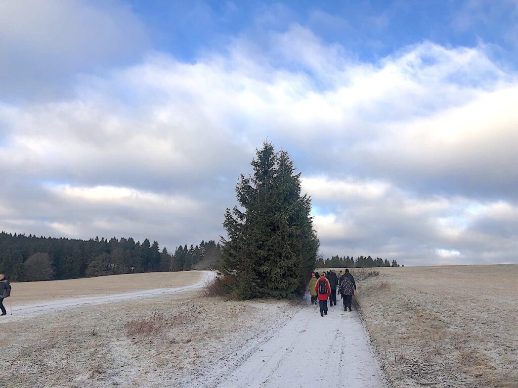 Atmen, Wandern und Genießen in Masserberg.