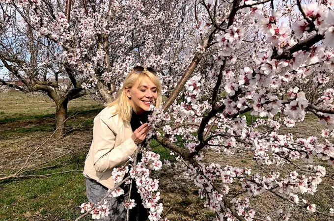 Reiseexpertin Antje Zimmermann war zur Mandelblüte in der Pfalz und hat die besten Tipps mitgebracht