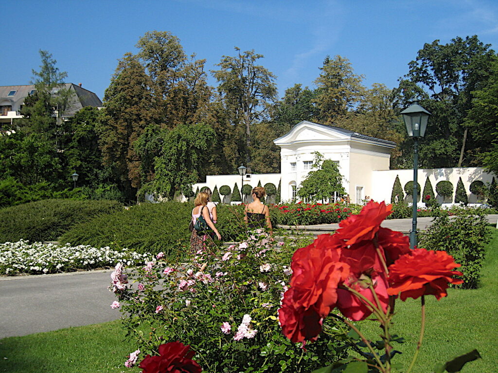 Geheimtipps Städtetrip Österreich – Baden bei Wien gilt als die Rosenstadt des Landes