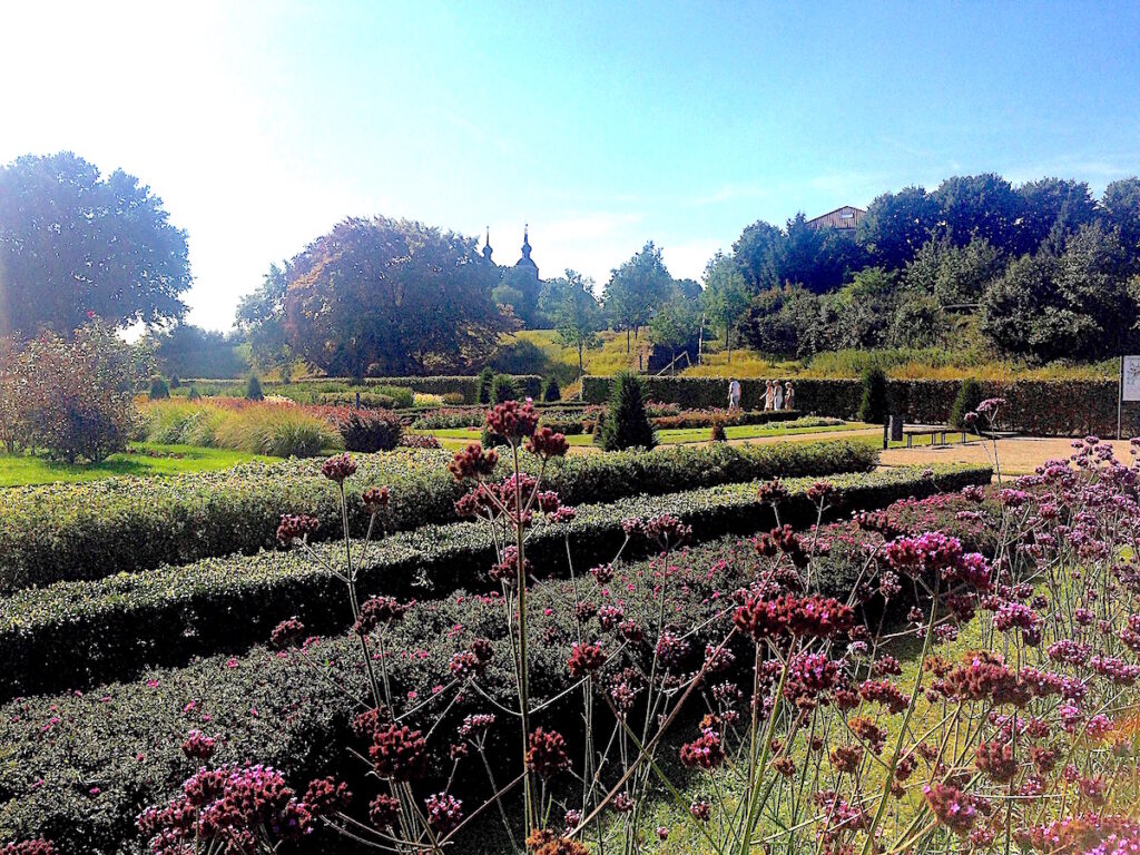 Duftender Garten im Kloster Kamp