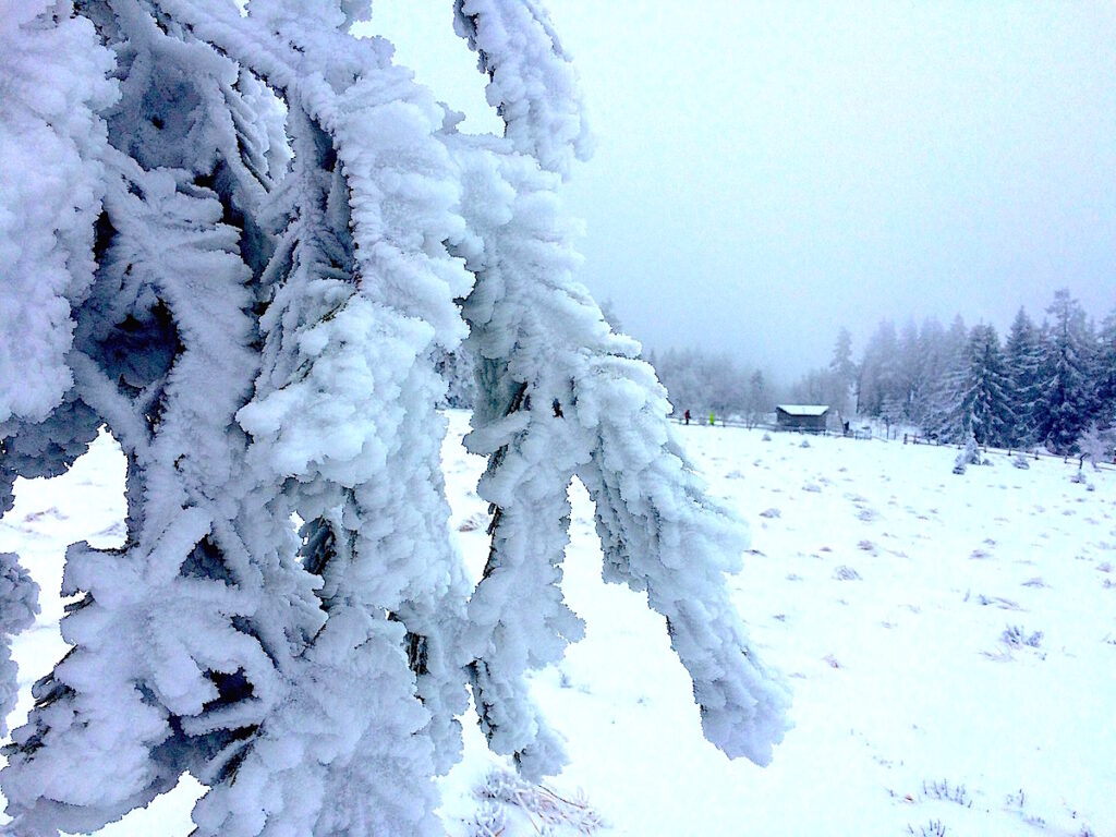 Deutschlands schönste Nationalparks - noch gibt es dichten Schnee im Schwarzwald