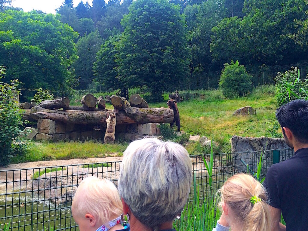 Mikroabenteuer in NRW - der kostenlose Tierpark Olderdissen in Bielefeld