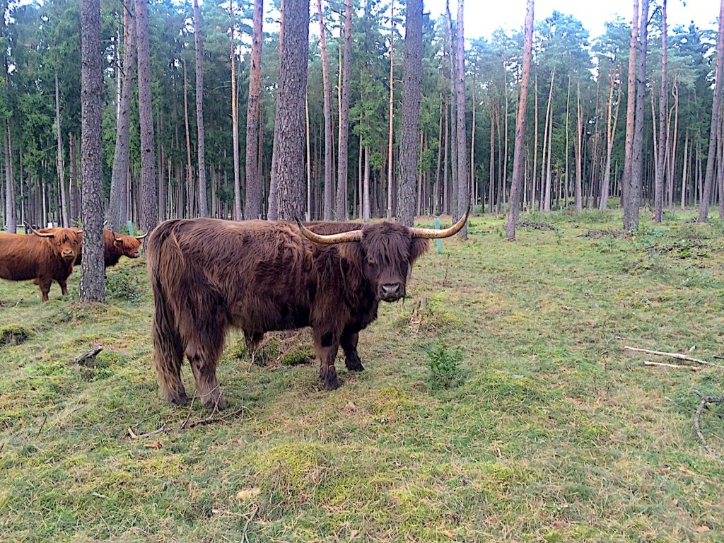 Ausflugsziele im Münsterland – 5 besondere Tipps