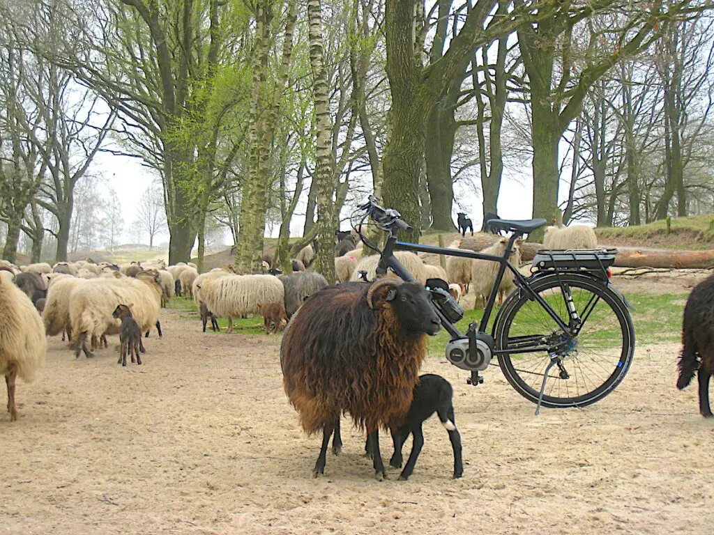 Radfaher lieben Drenthe für einen Kurztrip nach Holland 