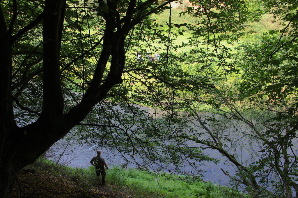 Wer die Wege im Nationalpark Eifel verlässt, zerstört die Natur 