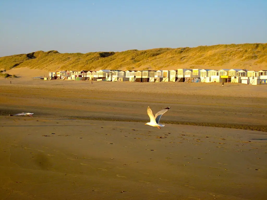 Strandschlafhäusere in Wijk aan Zee