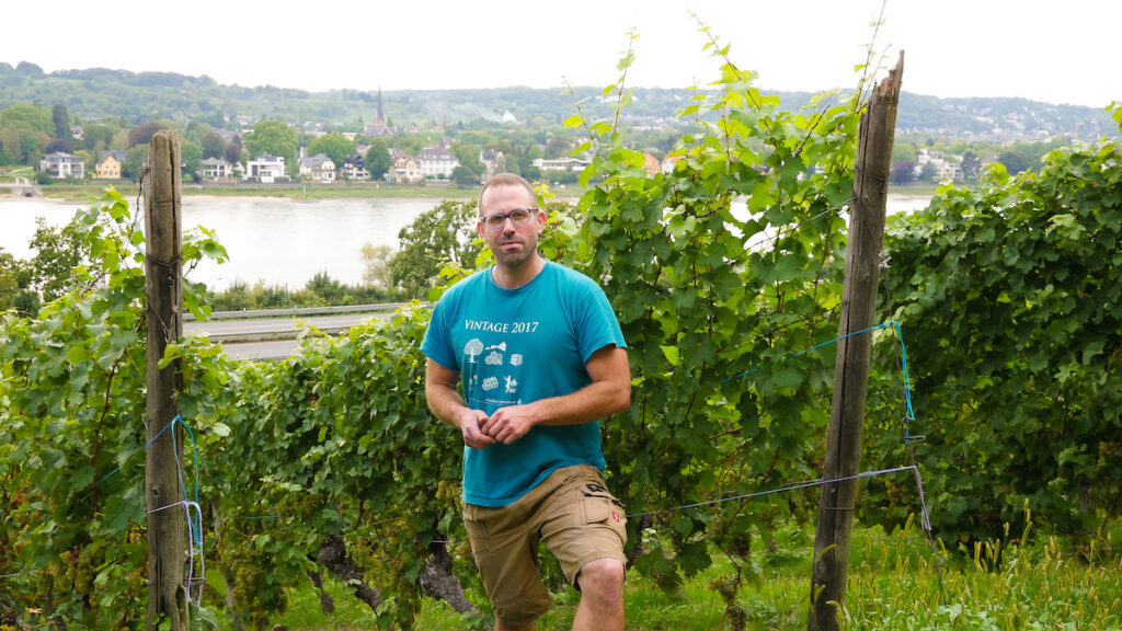 Wein aus dem Siebengebirge kommt mittlerweile in der 3. Generation von der Familie Pieper.