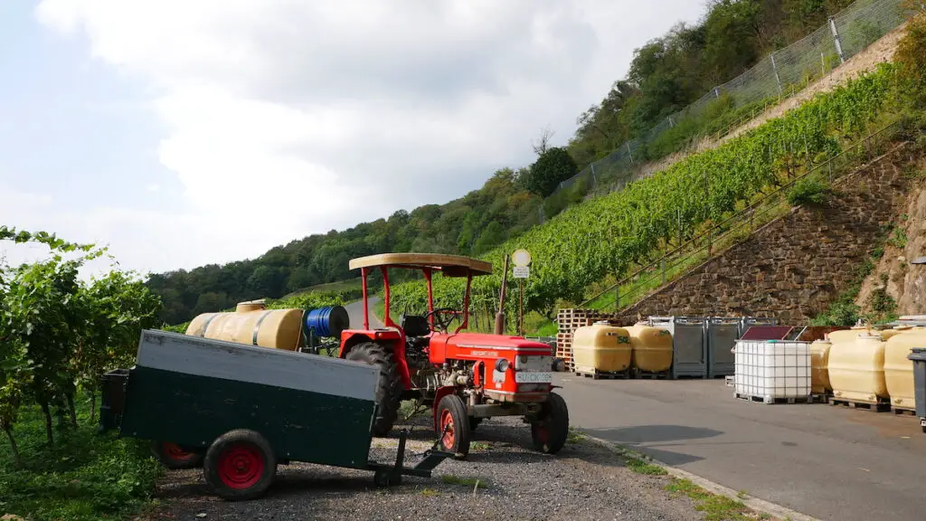 Wein aus dem Siebengebirge wird auf dem Weingut Pieper hergestellt