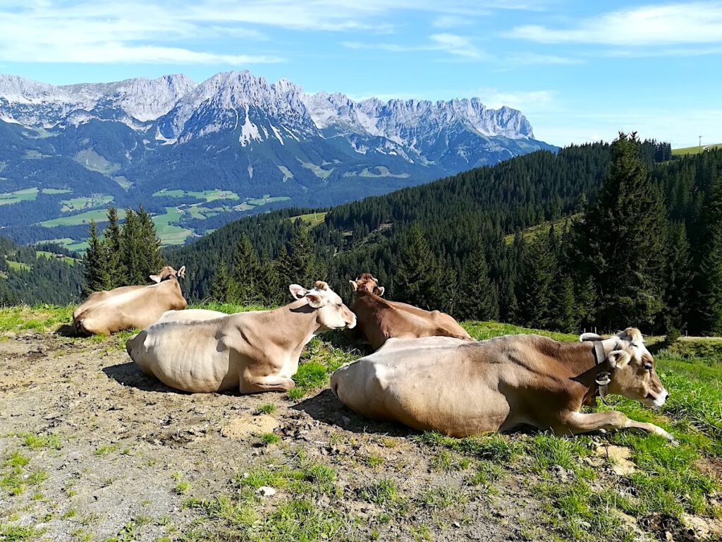 Geheimtipp am Wilden Kaiser - die Sonnenaufgangs-Wanderung 