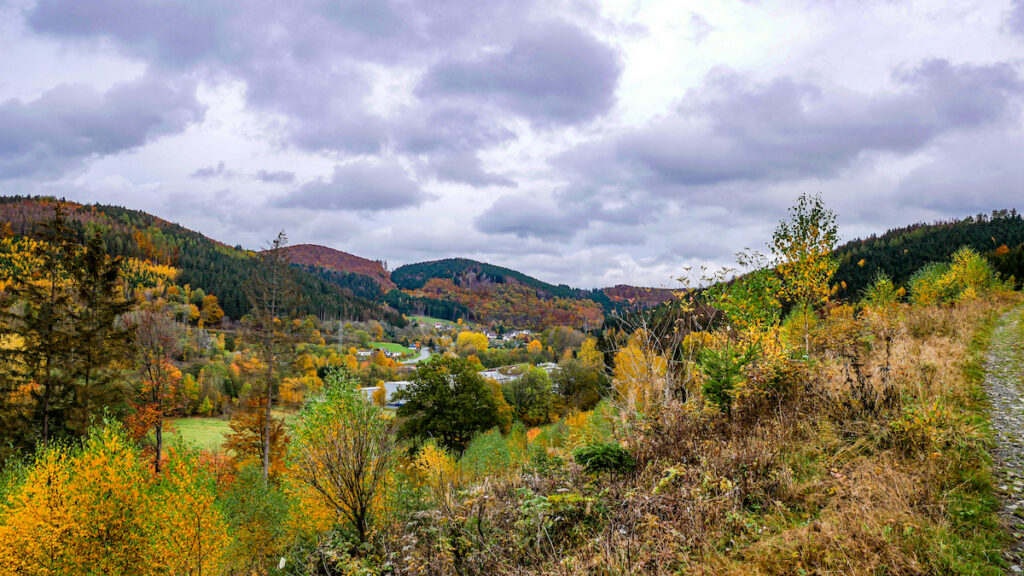 Herbst in NRW - das pilzreiche Rothaargebirge