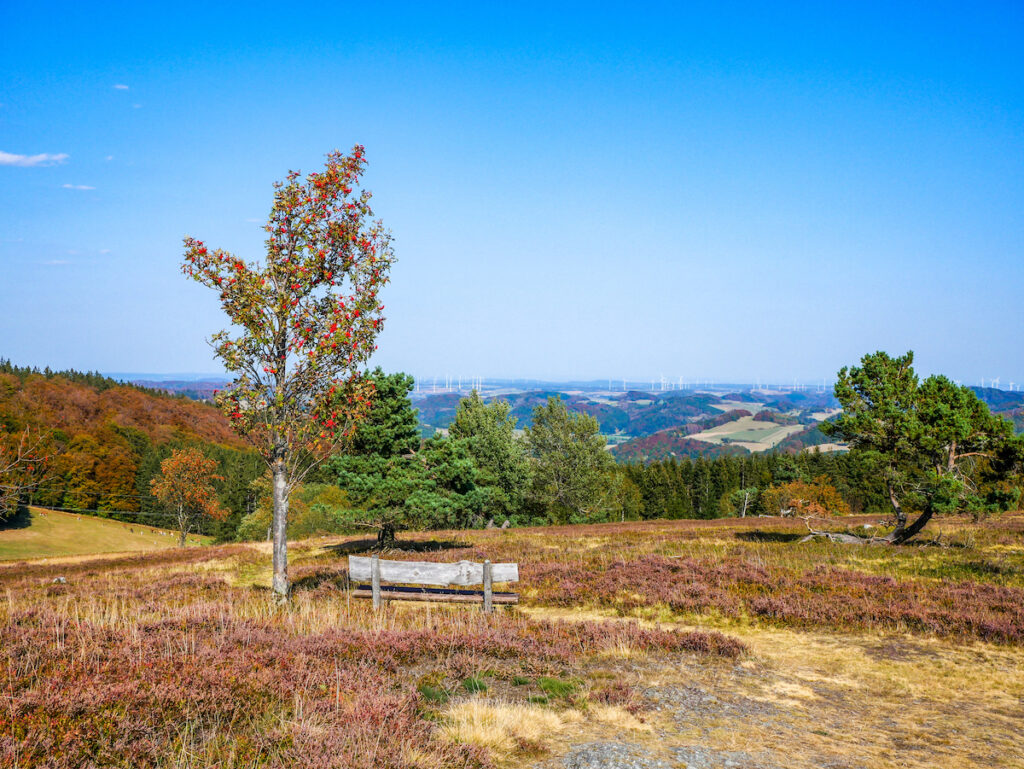 Geheimtipps Sauerland - Outdoor-Erlebnisse und Indoor-Wellness