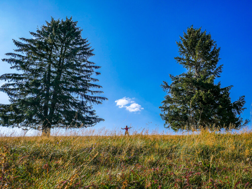 Die Auszeit im Sauerland auf dem Osterkopf in Willingen genießen