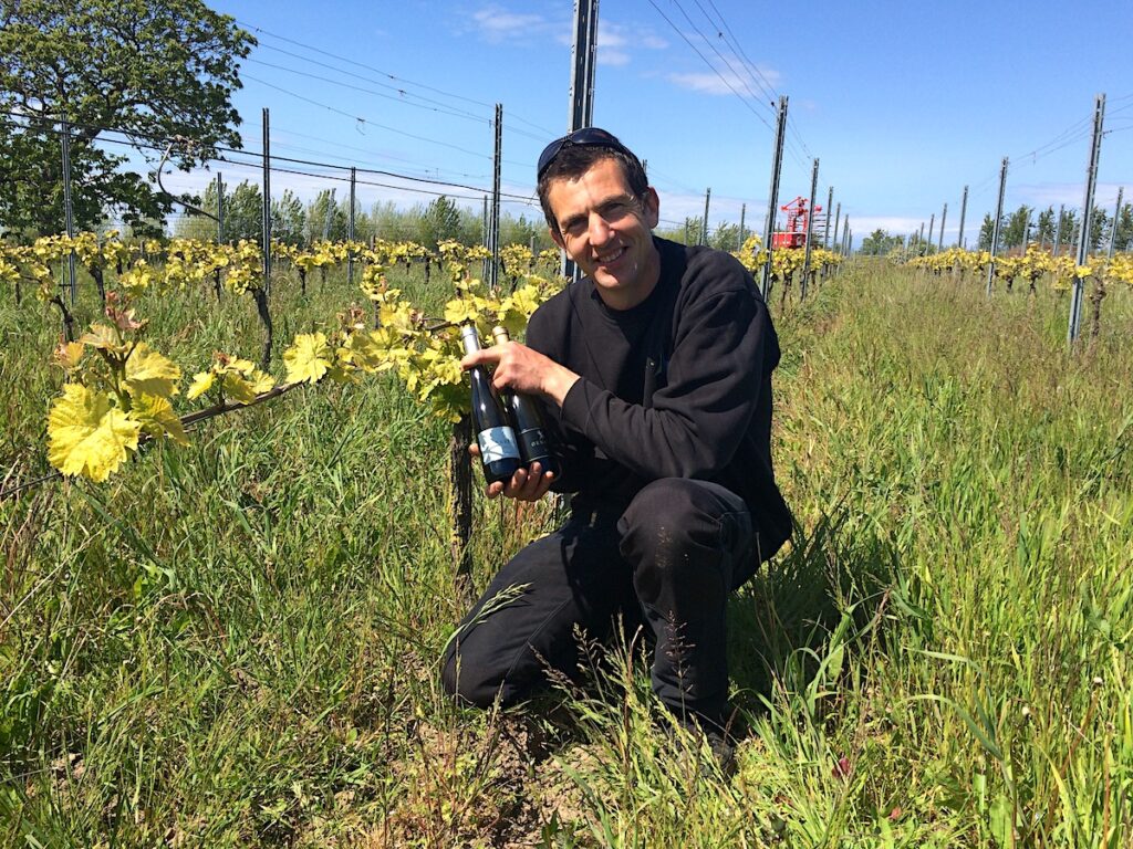 Dänemarks schönste Orte - auch die Weinberge in Odsherred zählen dazu. 