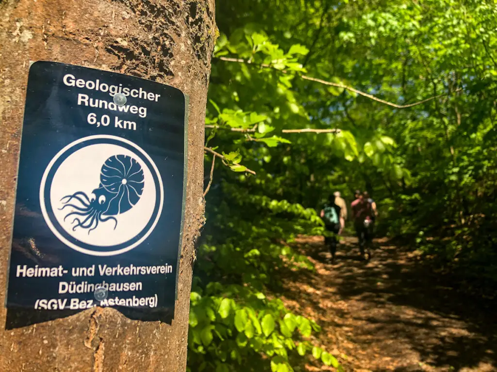 Wandern im Sauerland - der Geologische Rundweg bei Düdinghausen