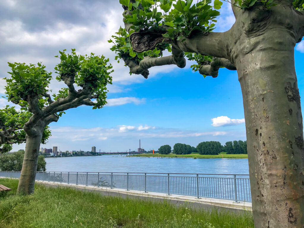 Die idyllische Ruhrufer in Duisburg ist ein besonders schönes Ausflgsziel im Ruhrgebiet.