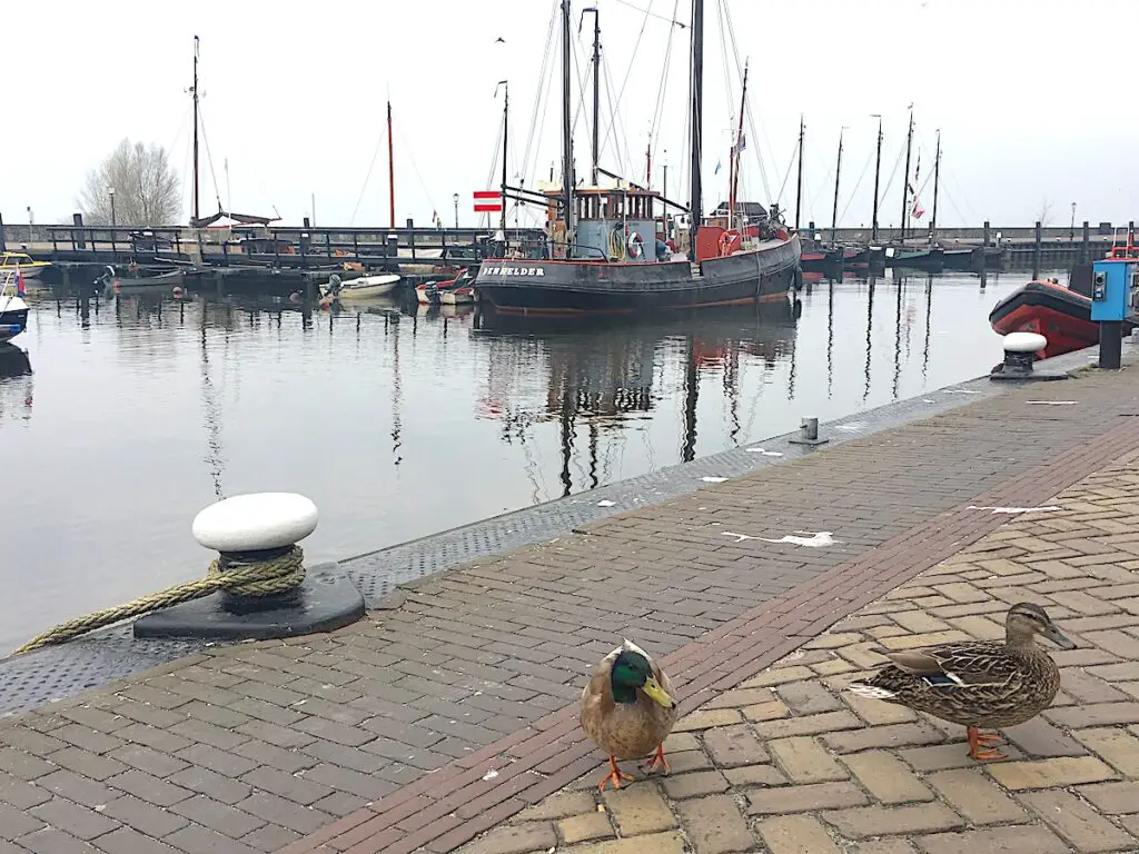 Das Fischerdorf Urk am IJsselmeer 