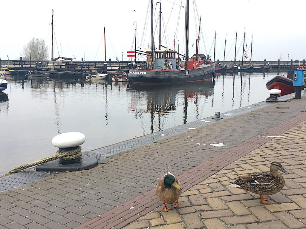 Das Fischerdorf Urk am IJsselmeer