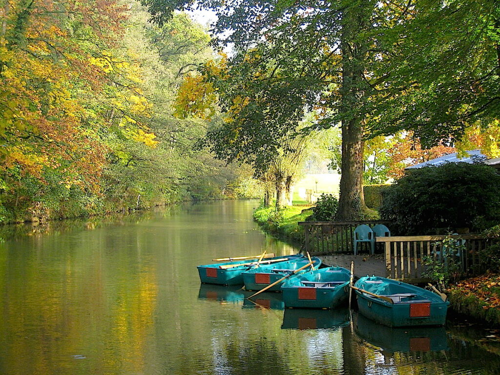 Die idyllische Ahauser Aa im Witte Venn. 