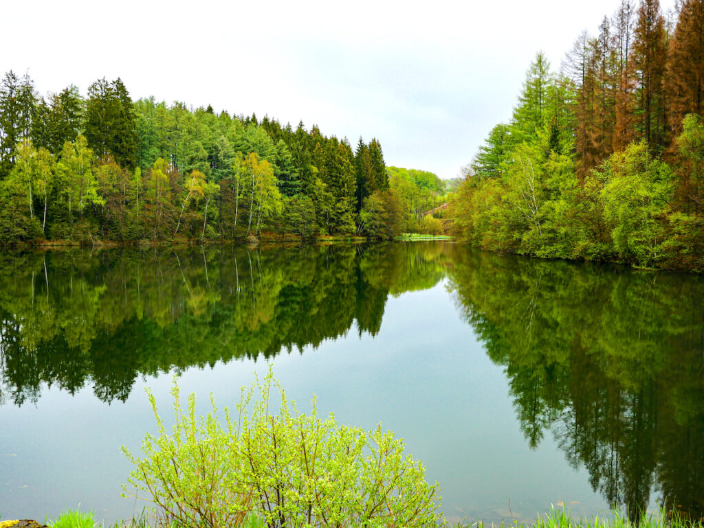 Die Genkeltalsperre in Gummersbach ist ein Wander- und Foto Hot Spot