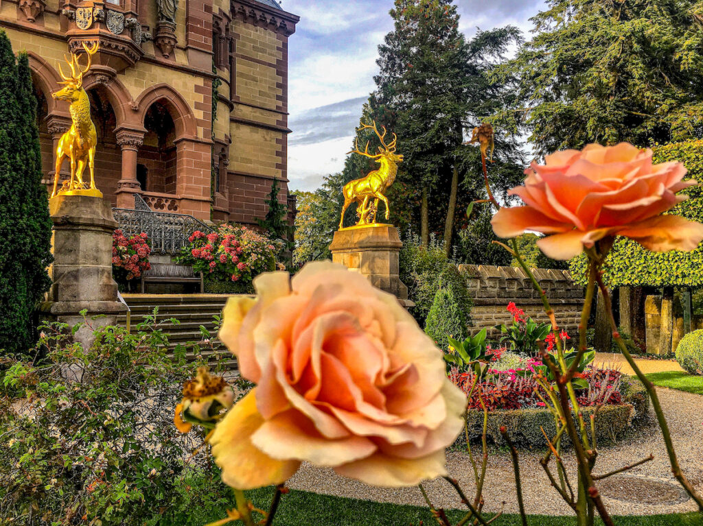 Schloss Drachenburg im Siebengebirge zählt zu den bekanntesten und schönsten Fotospots in NRW.