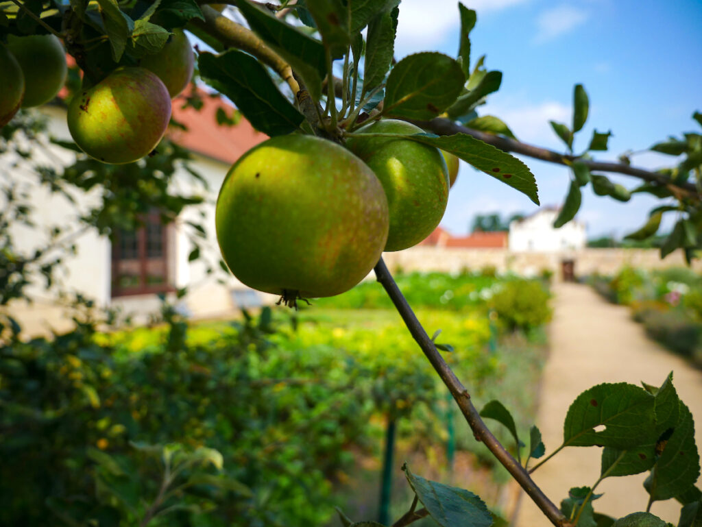 So idyllisch ist Niederschlesien im heutigen Polen 