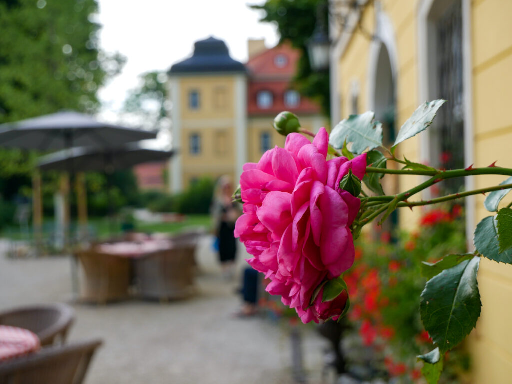 Bezahlbarer Schlossurlaub in Niederschlesien: Schloss Lomnitz (Łomnica)