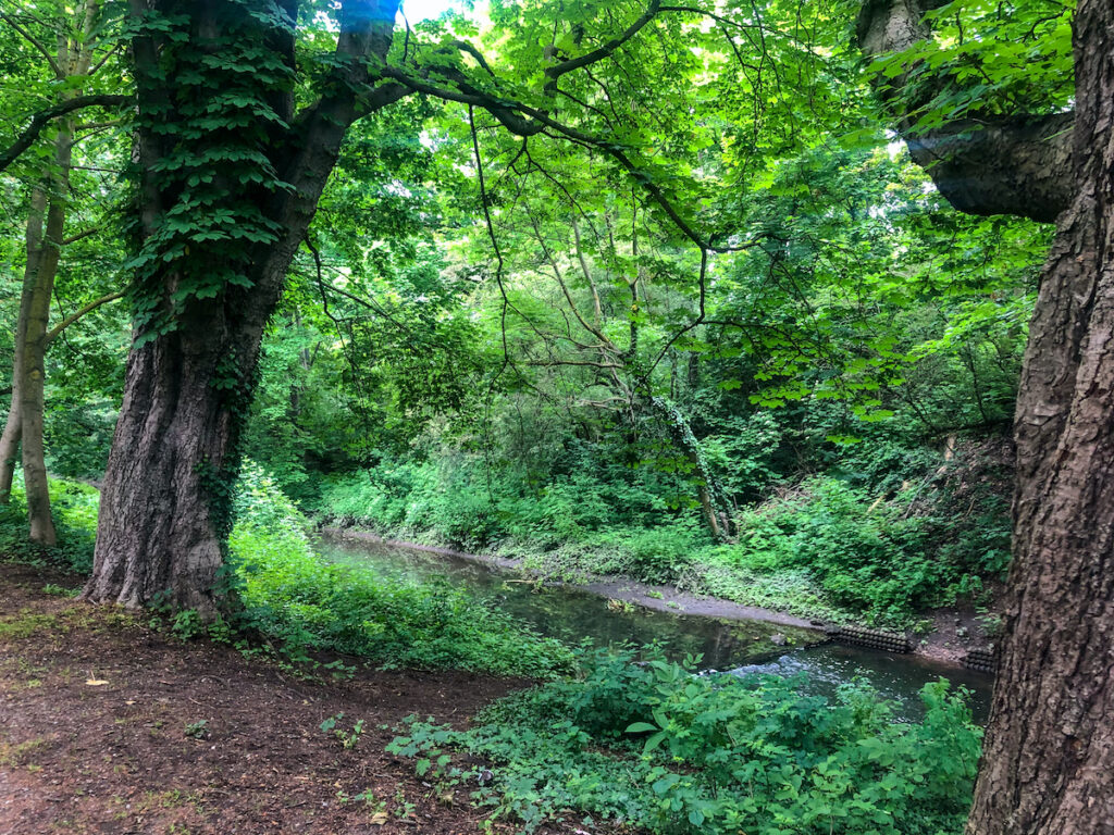 Gleich hinter Neuss führt der Hanseradweg durch ein Naturschutzgebiet