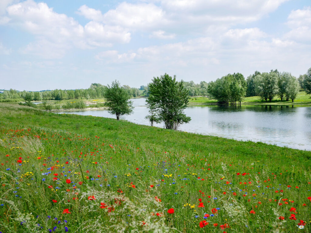 Fernradwege in Deutschland – der neue Hanseradweg führt auch zu den renaturierten Lippeauen in Wesel