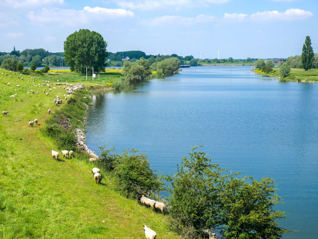 So schön ist der Hanseradweg bei Duisburg 