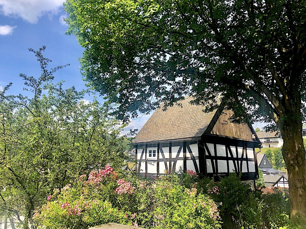 Die 20 originellsten Ausflugsziele in NRW bieten auch Dörfer mit tausenden Rosen.    