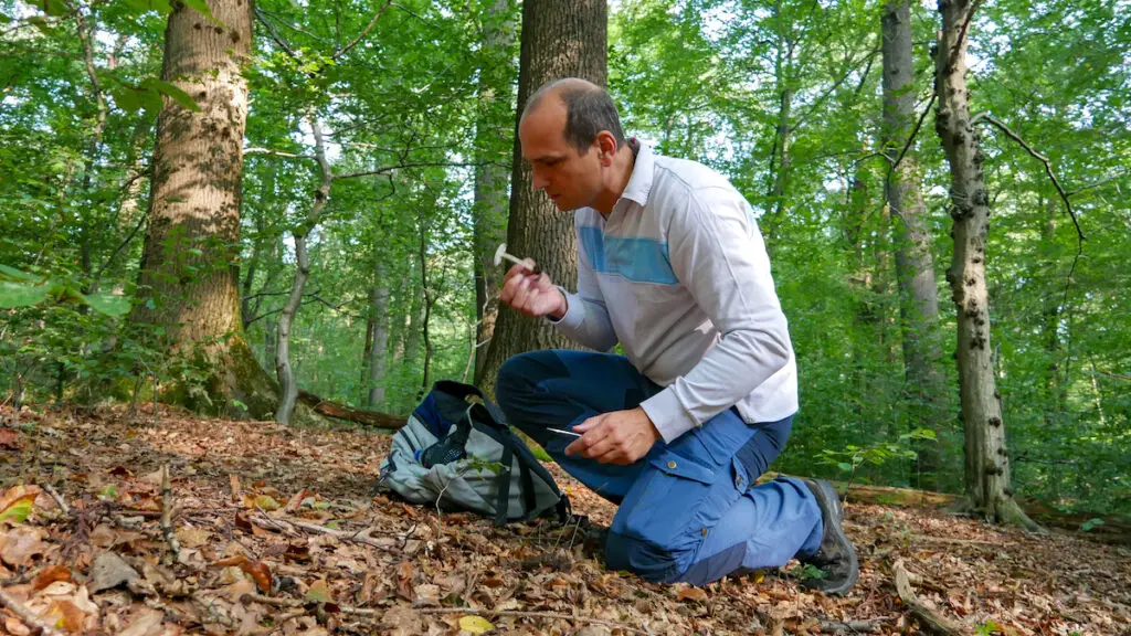 Reinhard Wegner ist promovierter Biologe und Pilzsachverständiger  - mit ihm ist Pilze sammeln sicher.
