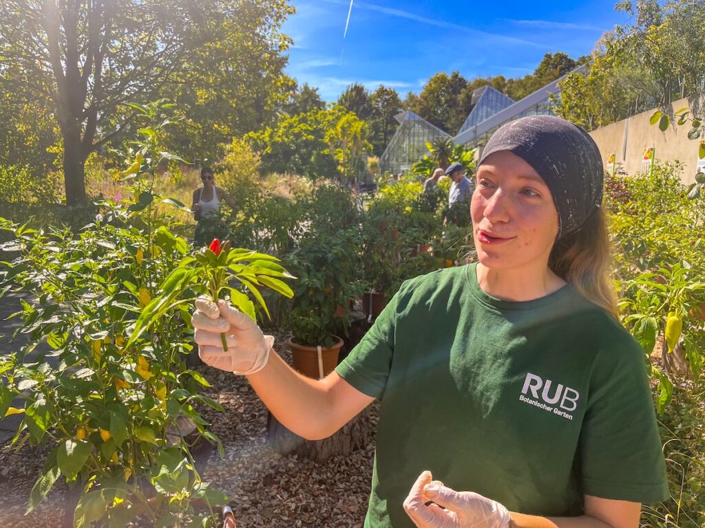 Chili-Verkostung im Botanischen Garten Bochum