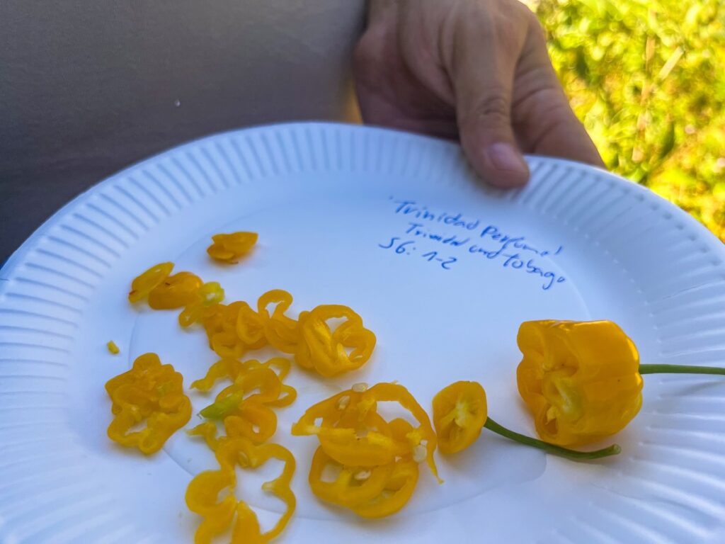 Manche mögen es scharf!