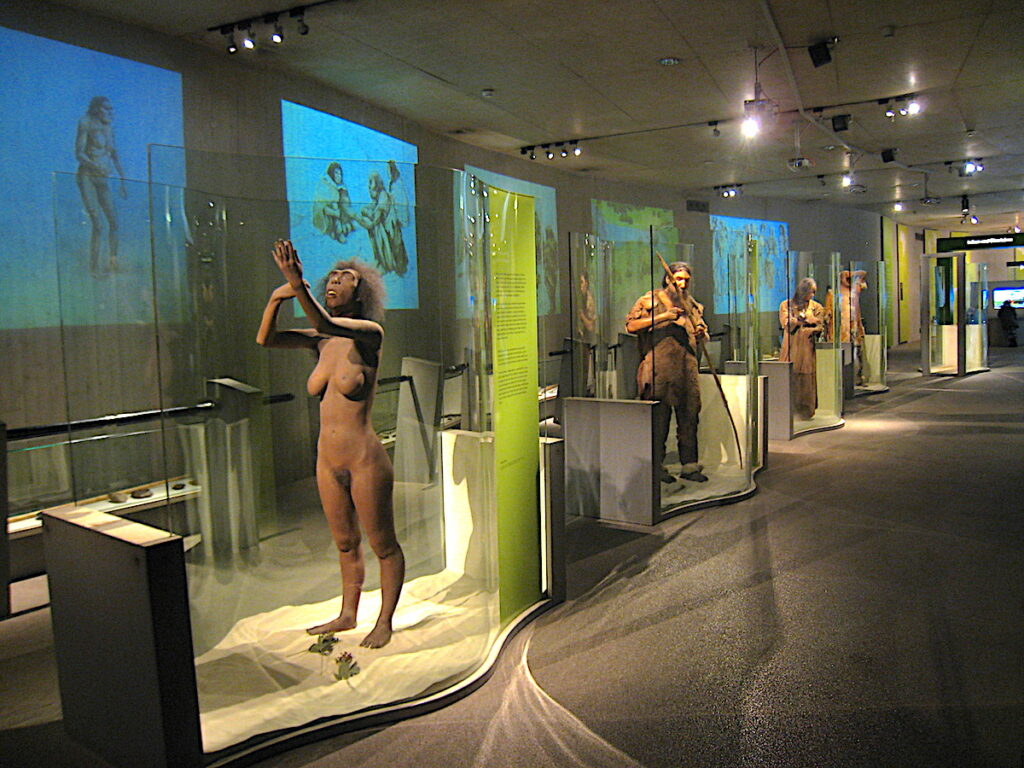 Der spektakuläre Zeittunnel im Museum Neandertal