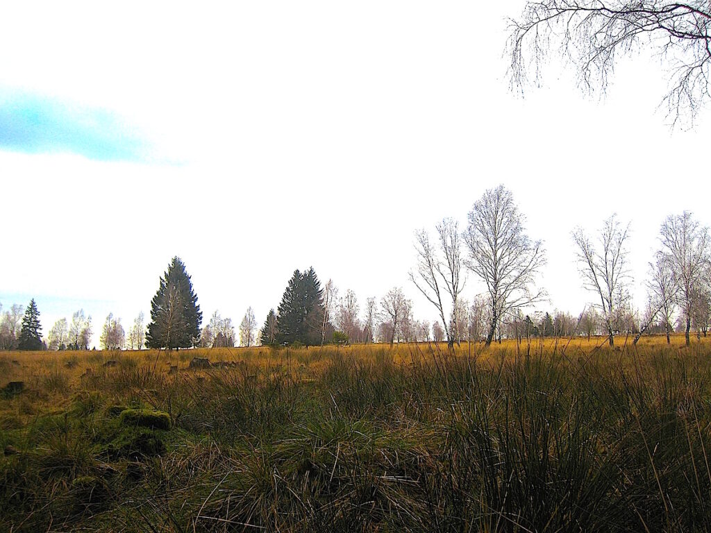 So schön ist das Winterwandern in der Eifel mitten durch die Struffeltroute