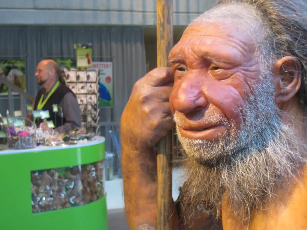 Mister N im Neandertalmuseum