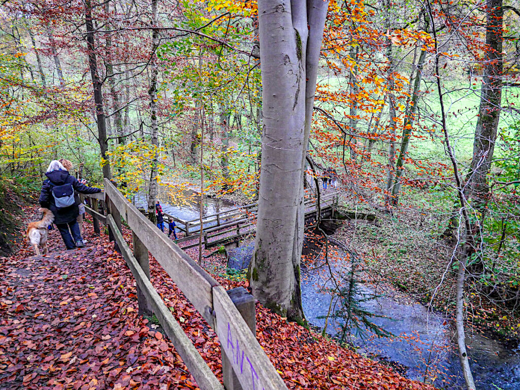 Neandertal - Wandern am Wildgehege 