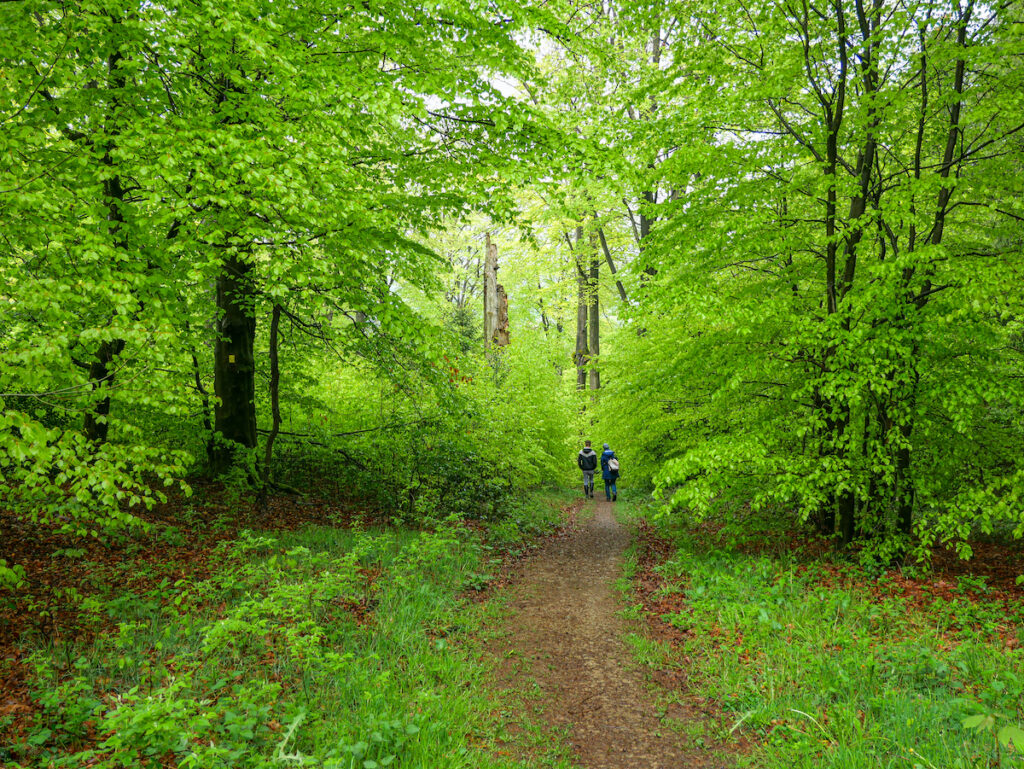 Spazierwege in NRW - schöne kurze Touren an der Genkeltalsperre