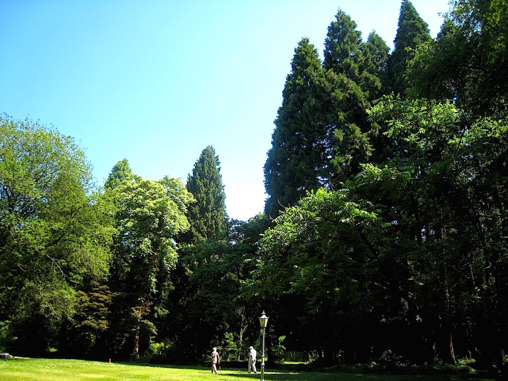 Die Sequoiafarm in Kaldenkirchen 