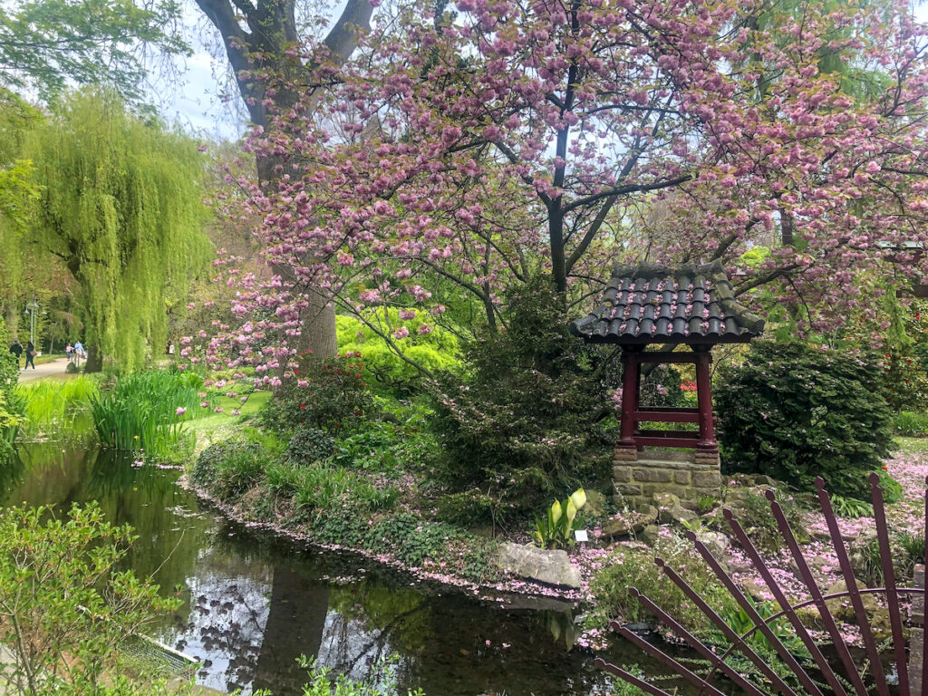 Der wunderschöne japanische Garten in Leverkusen
