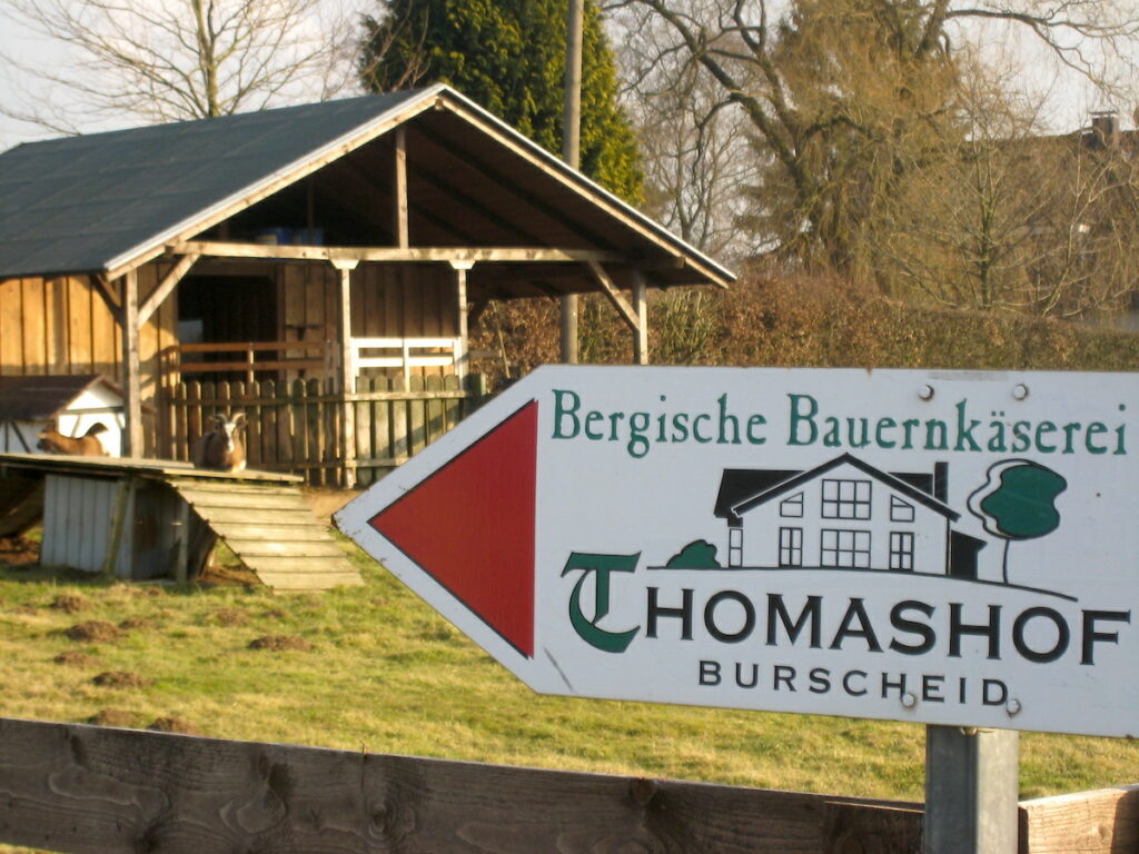 Käseherstellung auf dem Thomashof 