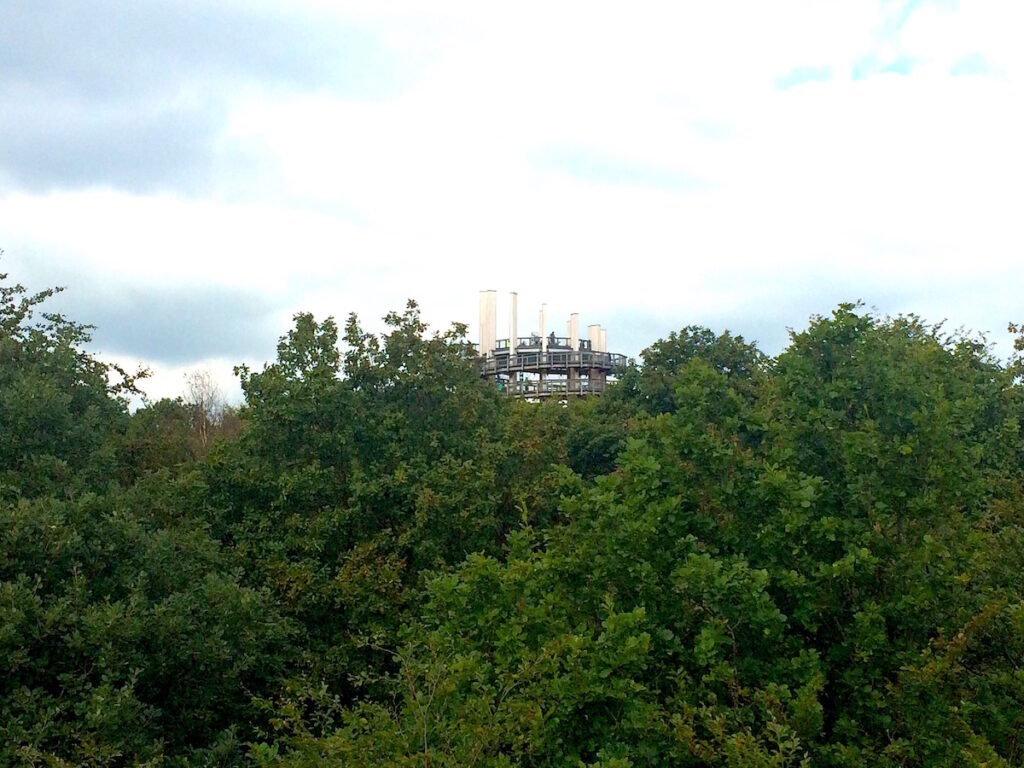 Ausblick vom Baumwipfelpfad Panarbora