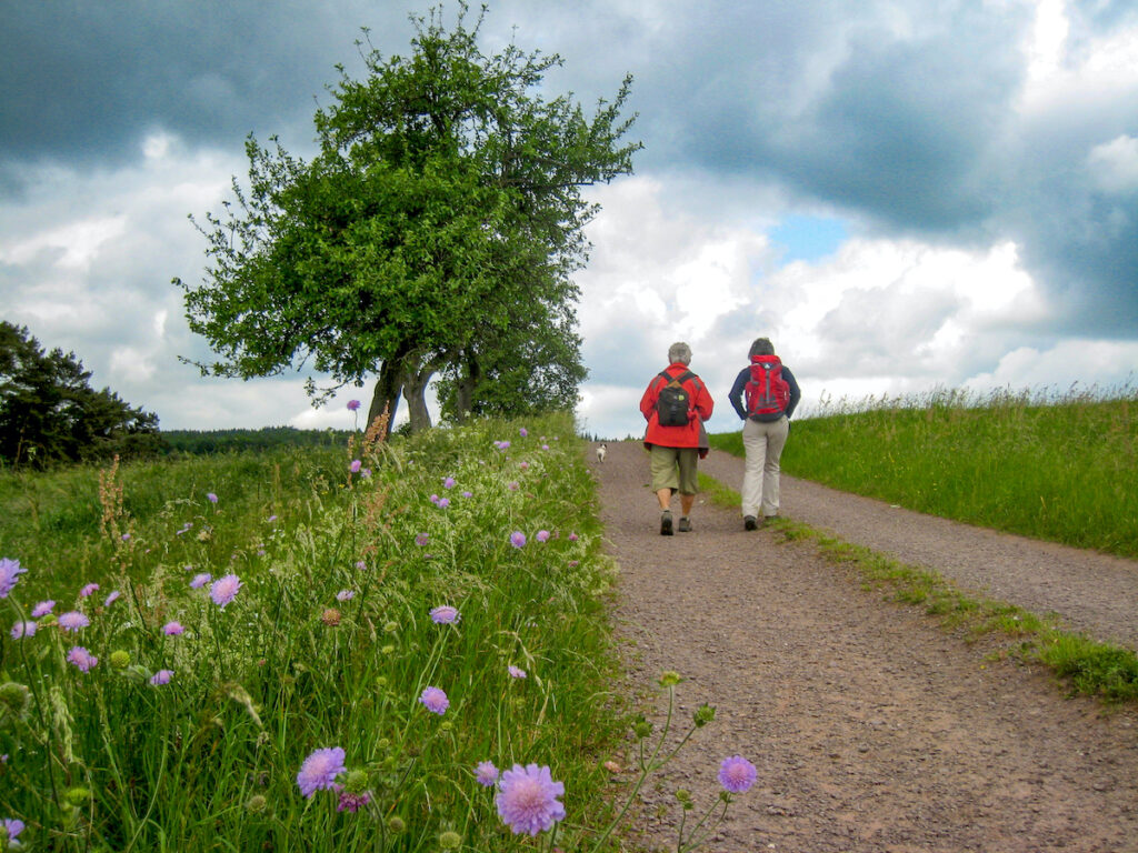 Den Urlaub in der Eifel auf dem Eifelsteig erleben