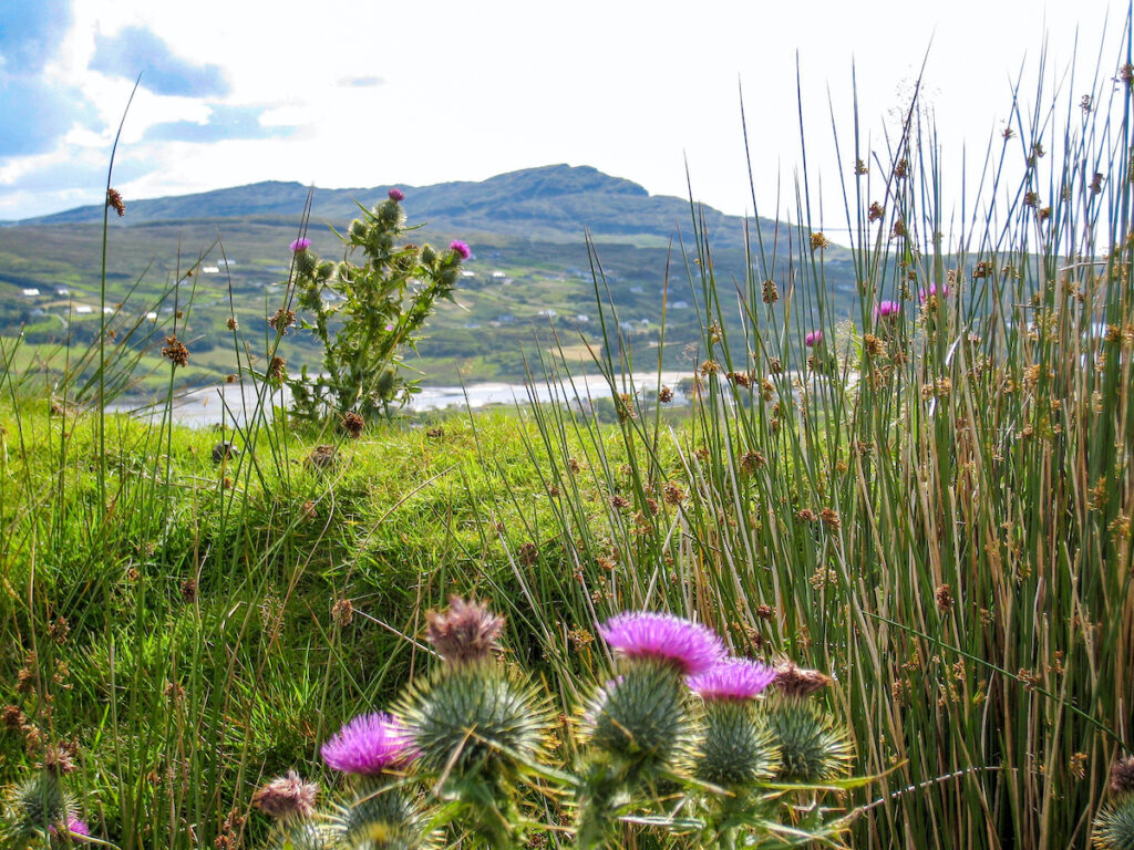 Das irische Donegal ist ein menschenleeres Wanderparadies