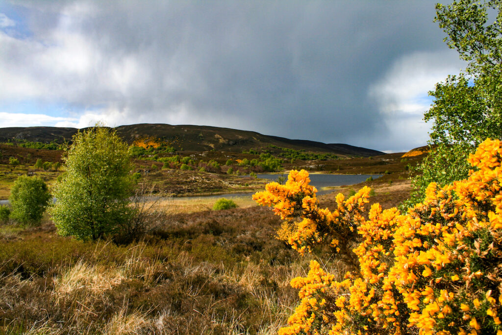 Maria Stuart liebte es, in Schottland zu jagen    ©Eva Adamek